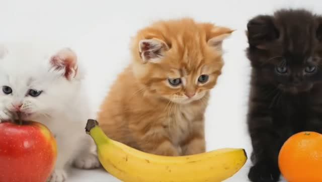 РАЗВИВАЮЩИЙ МУЛЬТИК ДЛЯ ДЕТЕЙ