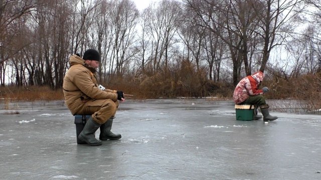 Зимняя рыбалка на мормышку. Плотва и окунь на безмотылку!