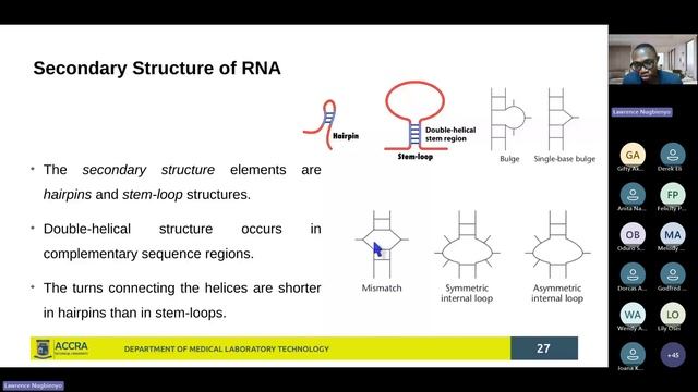 MLB 203 Biochemistry II (Regular): Structure of Nucleic Acids