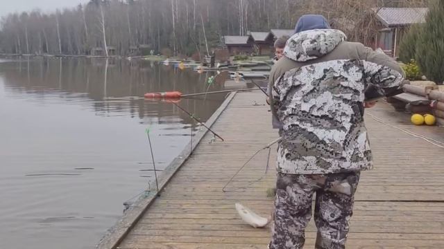 Поимка форели