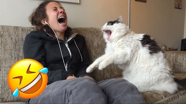 ПОДБОРКА ПРИКОЛОВ Я РЖАЛ ДО СЛЕЗ, ЛУЧШИЕ ПРИКОЛЫ 2025 СМЕШНЫЕ ВИДЕО, ДЕВУШКИ , ПОДБОРКА ПРИКОЛОВ