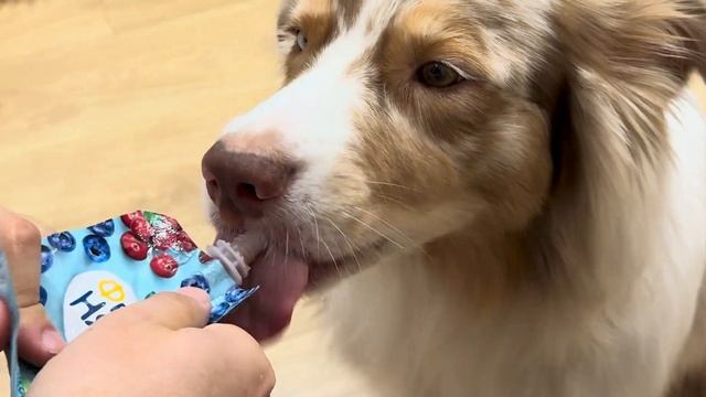 3 декабря 2025 г.