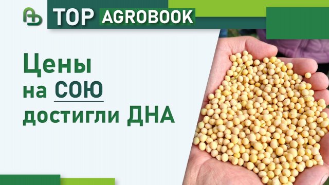 Цены на сою достигли дна | TOP Agrobook: обзор аграрных новостей