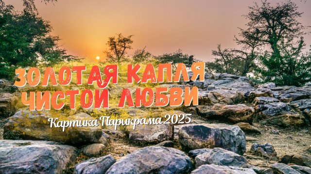 Золотая капля чистой любви — Картика Парикрама 2025
