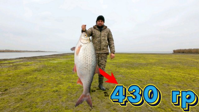 Поймал на реке крупную тарань на бортовые удочки.