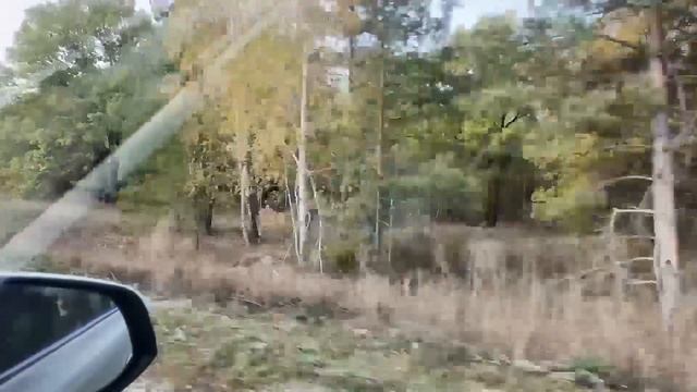 Заброшенная Россия. По заброшенным сказочным местам Ульяновской области.