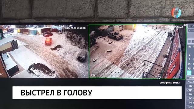 Выстрел в голову