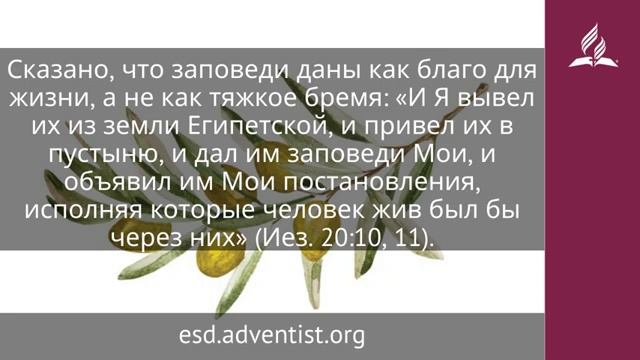 6 декабря 2025. Нетяжкие заповеди. Под сенью благодати | Адвентисты