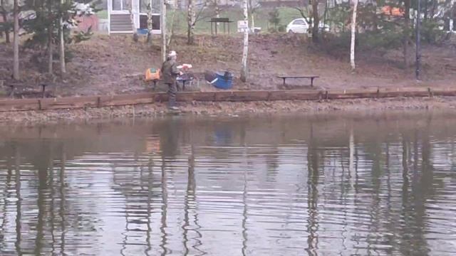 video5305613318822595155