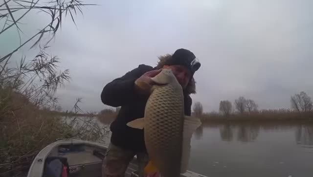 РЫБАЛКА НА САЗАНА. ДОНКА И ЧЕРВЬ, А РЫБА ЖДЕТ ЗИМУ !