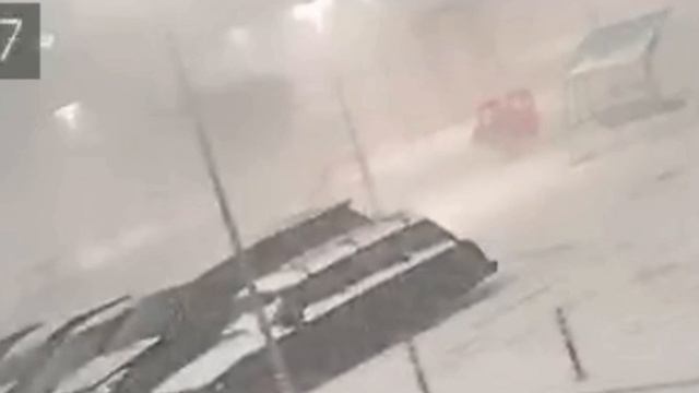 Повалило ель