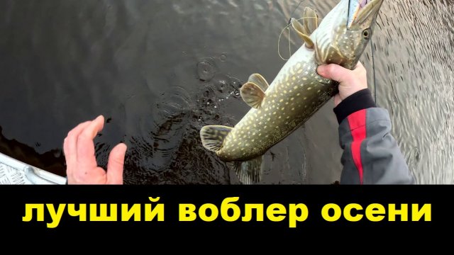 Декабрьский твичинг. Лучший воблер осени.