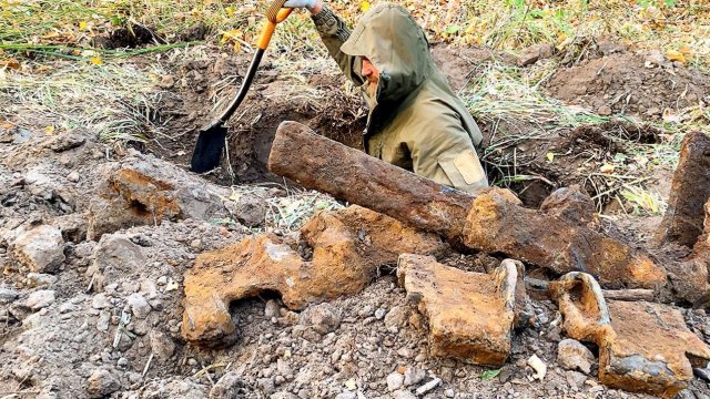 Старики сказали правду! Медь сбросы траки, здесь есть всё... Металлокоп в глуши-