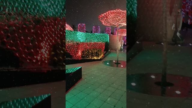 Парк Галицкого к Новому году. Краснодар