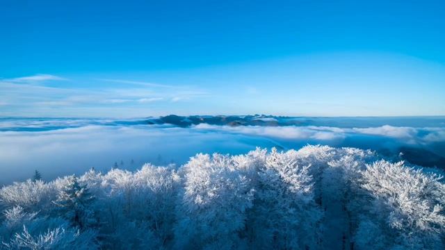 Волшебство 8 декабря. Какую тайну он откроет.