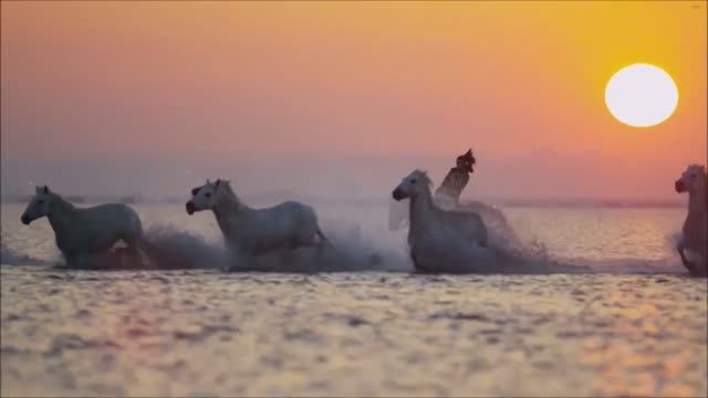 МЕЛОДИЯ ДЛЯ ВНУТРЕННЕГО ПОКОЯ