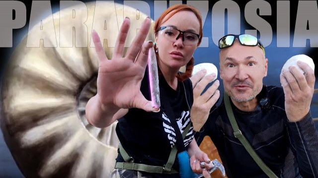 ГИГАНТСКИЕ АММОНИТЫ МЕЛОВЫХ ГОР | Нашли наутилусов, причудливых бакулитов, гигантского аммонита.