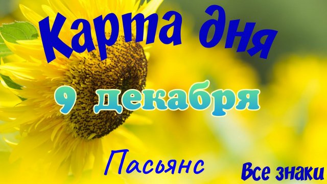 Карта дня❄9 декабря🎄☃️Пасьянс. Тайм-код в описании🦢