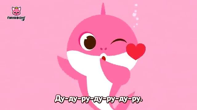 Акулёнок туруру туру