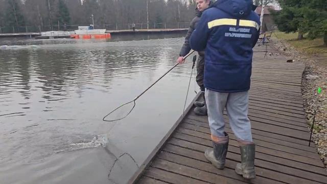 Основной водоём.