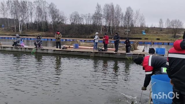 07.12.25. Зарыбление VIP зоны форелью.