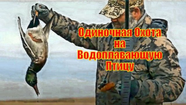 Одиночная Охота на Водоплавающую Птицу
