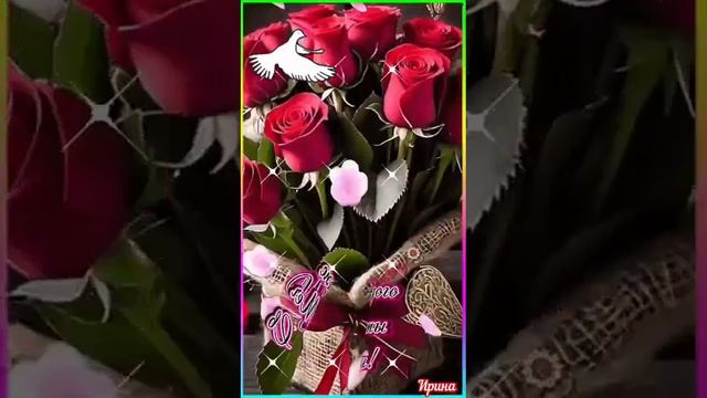 video_10001382246916.mp4