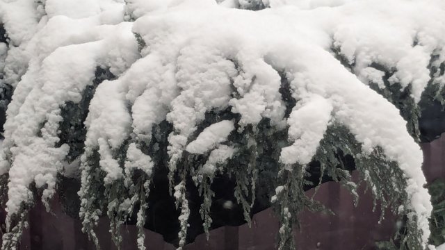 История одной семьи.