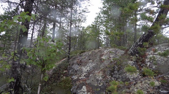 НА ТИХОМ СЕВЕРЕ 2 СЕРИЯ