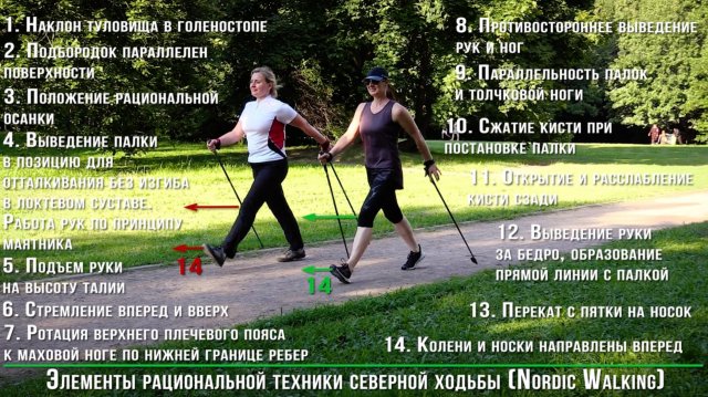 Nordic Walking. Техника ходьбы с палками.