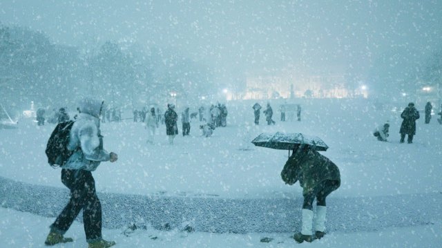 서울 첫눈! 엄청난 기습 폭설! 눈 내리는 풍경, 고려대학교 설경, 서울여행워커