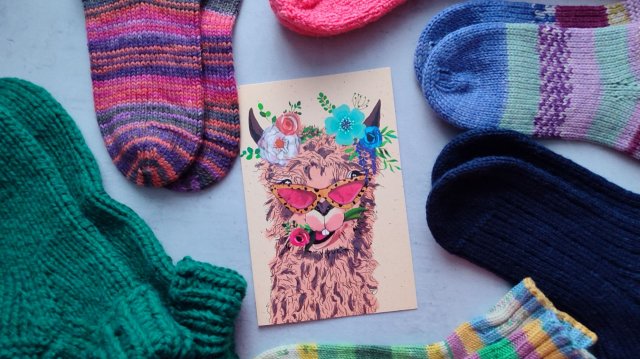 Носочки с Таней 2025//4 сезон/ ИТОГИ / уч28 / 20 пар