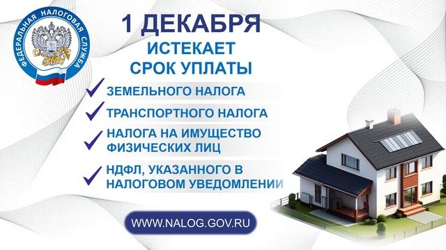 Видео 1_декабря