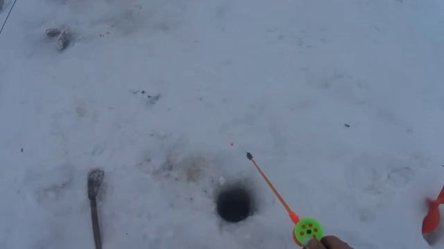 Рыбалка,оз.Чаны! 7 декабря! Разнорыбье!