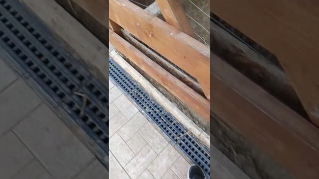 Это животные🙂 Извините что снимаю другие видео🙁