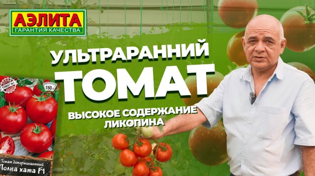 Ультраскороспелый детерминантый томат ПОЛНА ХАТА F1