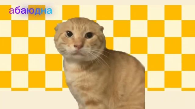 ТРЕНД МЯУ МЯУ #видео #мультики #детям #детский#рутуб #ии #котики