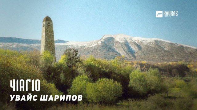 Увайс Шарипов - Ч1аг1о | KAVKAZ MUSIC CHECHNYA