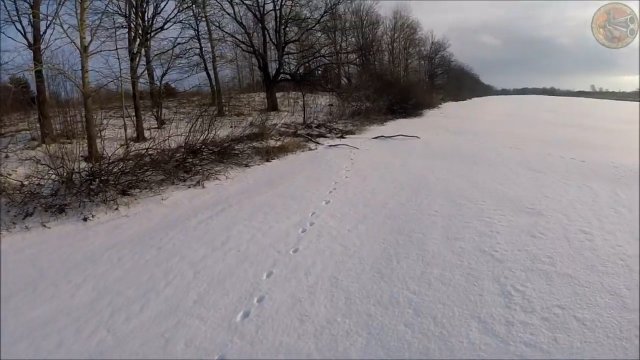 Один из охотничьих выходов. Находки (Будни охотника и рыбака)