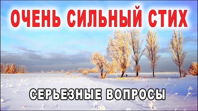 ОЧЕНЬ ТРОГАТЕЛЬНЫЙ СТИХ "СЕРЬЕЗНЫЕ ВОПРОСЫ"