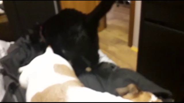 432 Заметки от Михал Михалыча