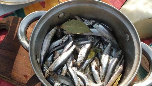 Малосольная тюлька в домашних условиях, простой рецепт