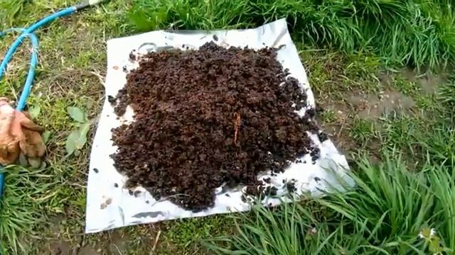 КАК ПЕРЕТОПИТЬ ВОСК В ПАРОВОЙ ВОСКОТОПКЕ-получаем воск своими руками.