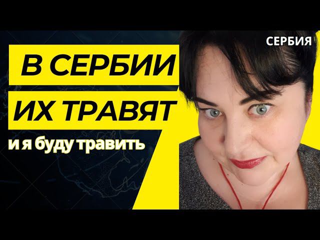 VLOG/ВЫ БУДЕТЕ В ШОКЕ,НО ЭТО ПРАВДА/КОГДА Я ИХ УВИДЕЛА #сербия #serbia #жизньвсербии #ElenaRUSerbia