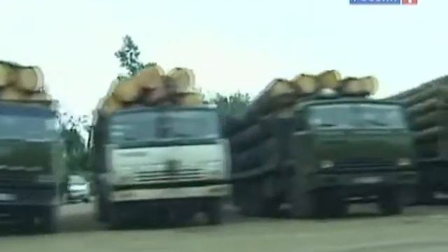 Темный лес Борис Соболев