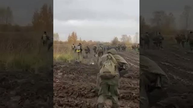 VID_20221031_144044_188.mp4