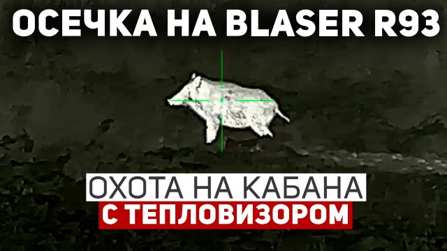 Осечка на Blaser R93 ⚙️ | Неприятный «сюрприз» чуть не сорвал охоту 😬