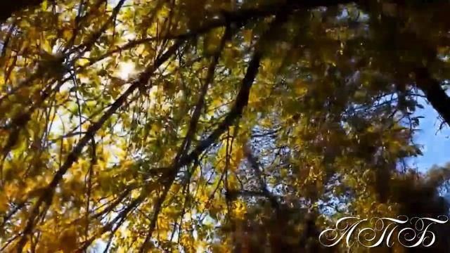 Осенняя песня Анна Герман