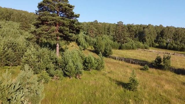 поселок Тукан. Белорецкий район. июль 2022.