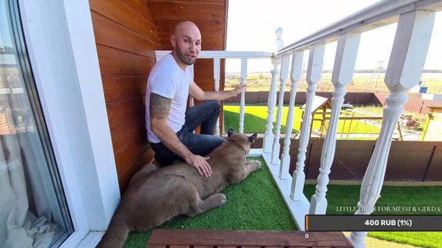 Прямой эфир 4 октября